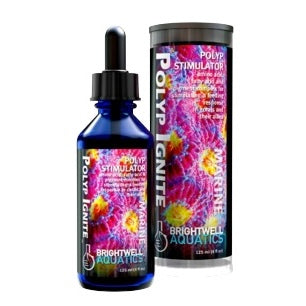 Polyp Ignite