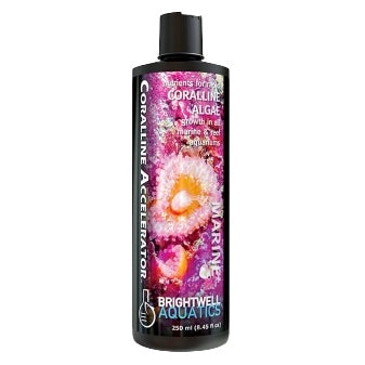 Coralline Accelerator