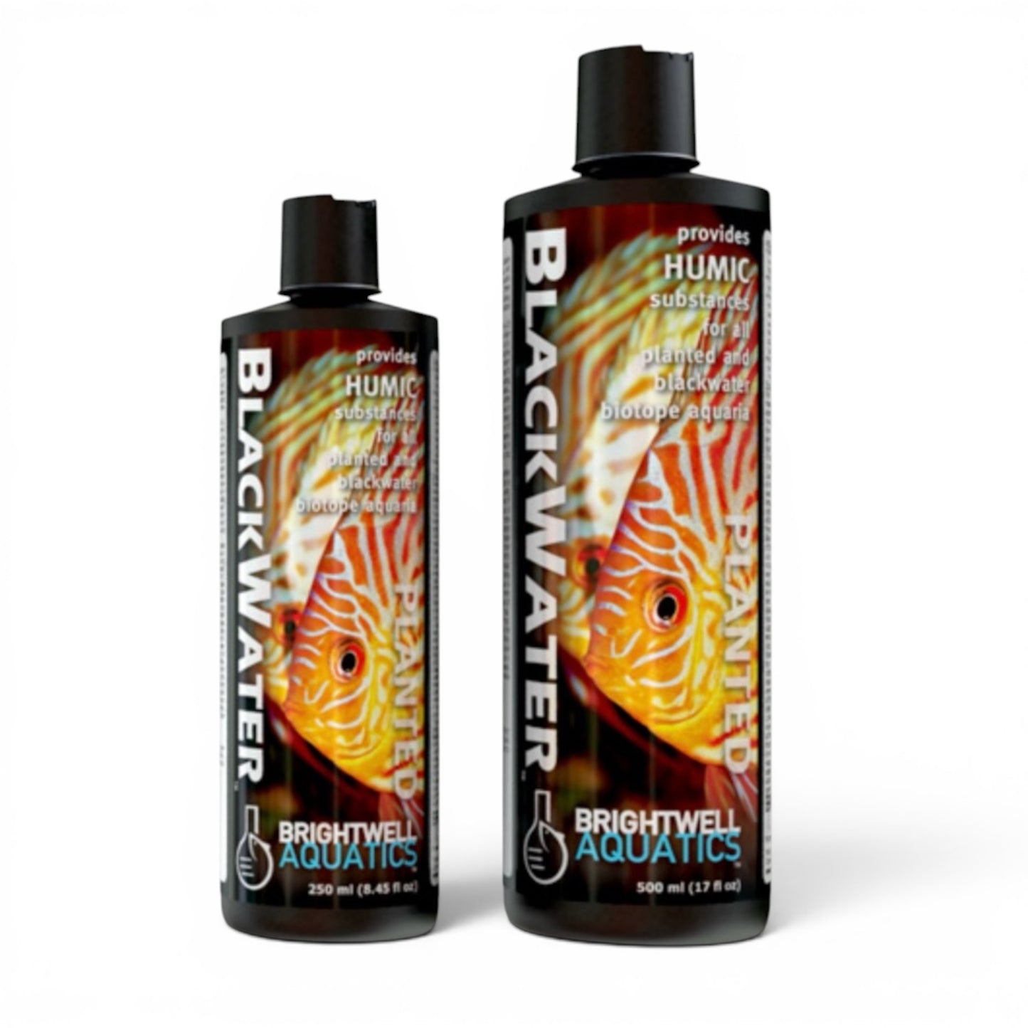 BlackWater Conditioner