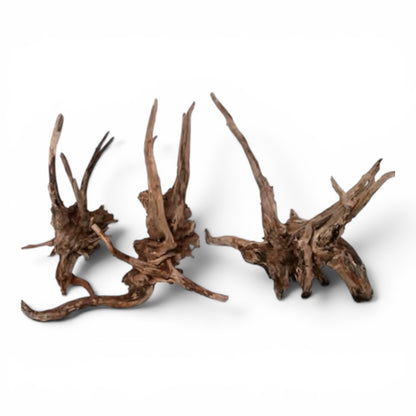 Driftwood - Carolina Black Spider Wood