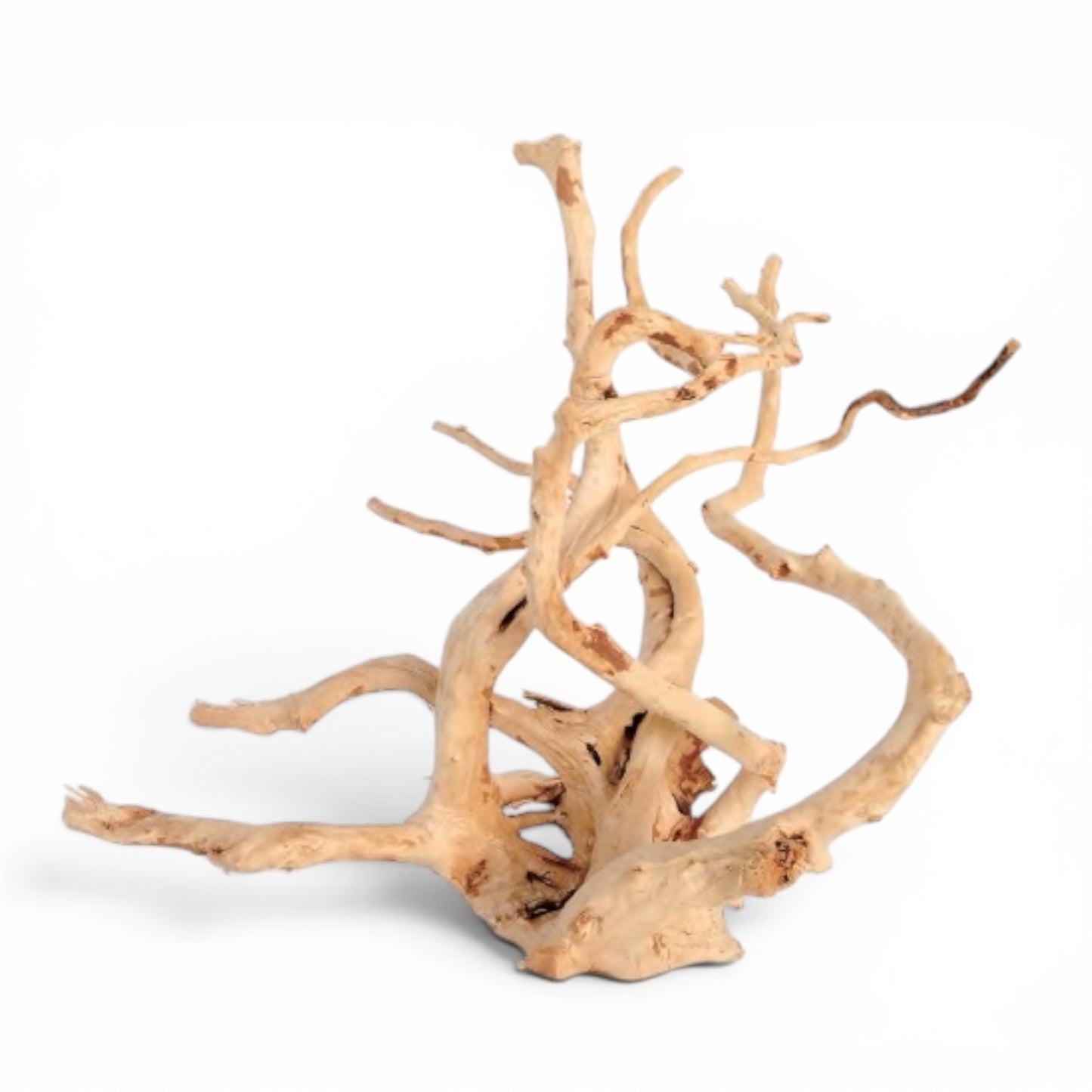 Driftwood - Carolina Spider Wood