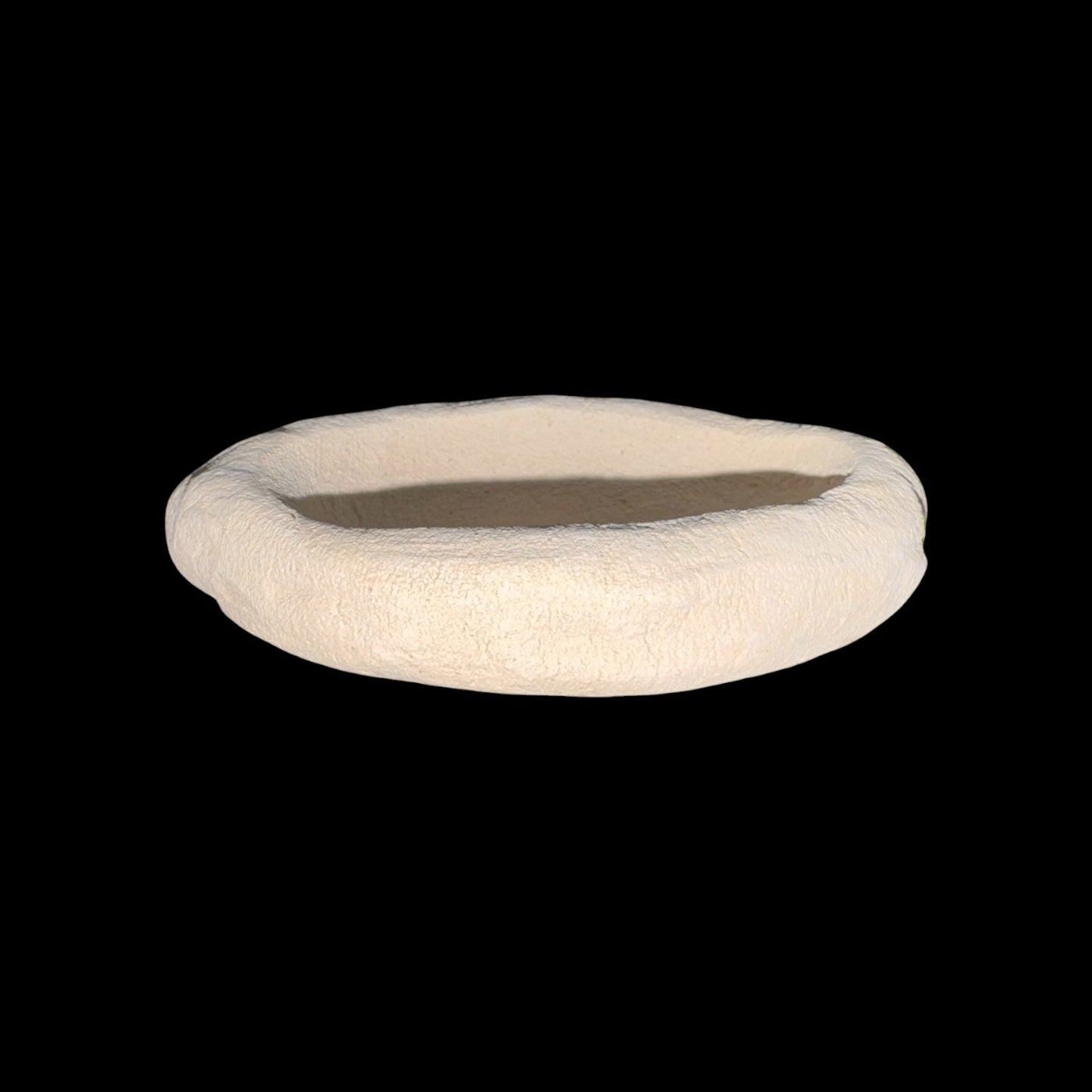 Clam Holder Small