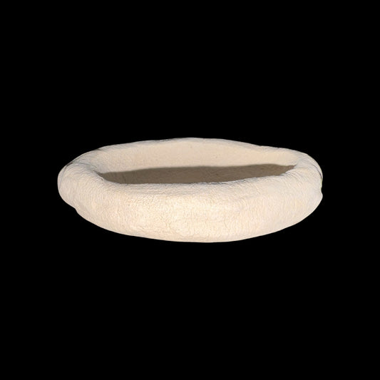 Clam Holder Small