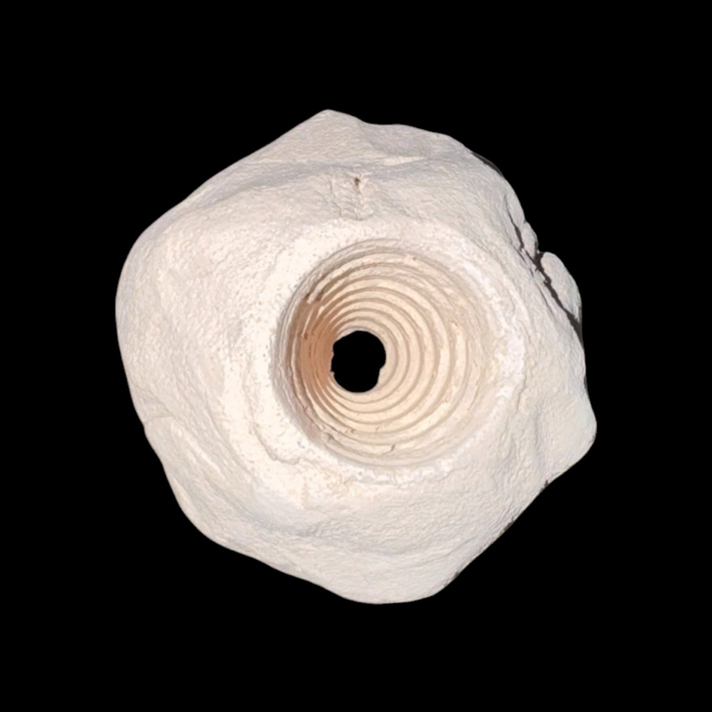 Micro Rock (Micro Frag Holder)