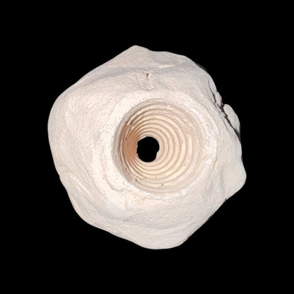 Micro Rock (Micro Frag Holder)