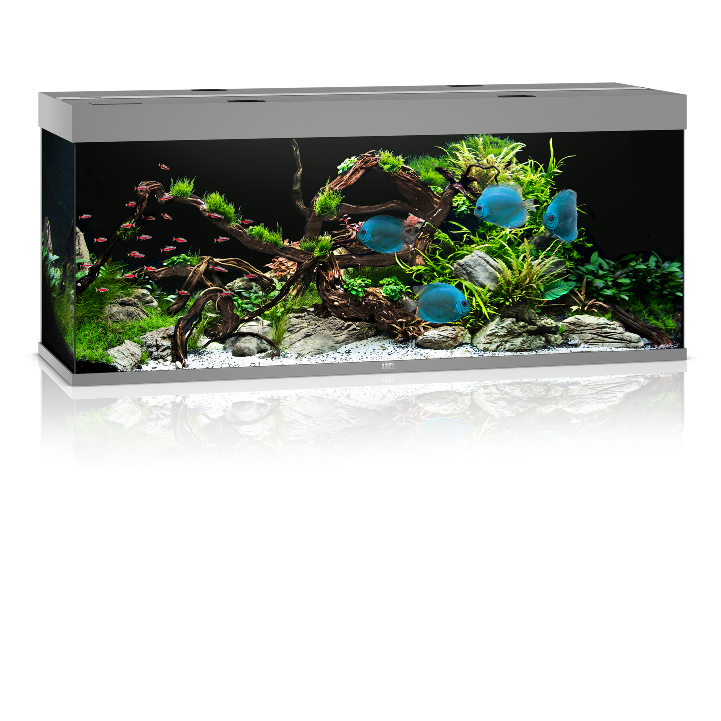 Juwel Rio 450