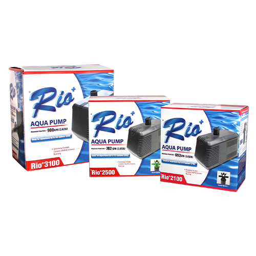Rio® + Aqua Pump UL Version