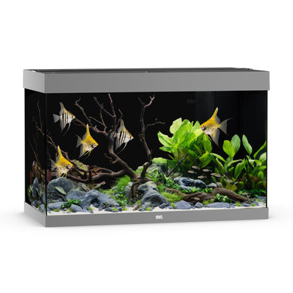 Juwel Rio 290