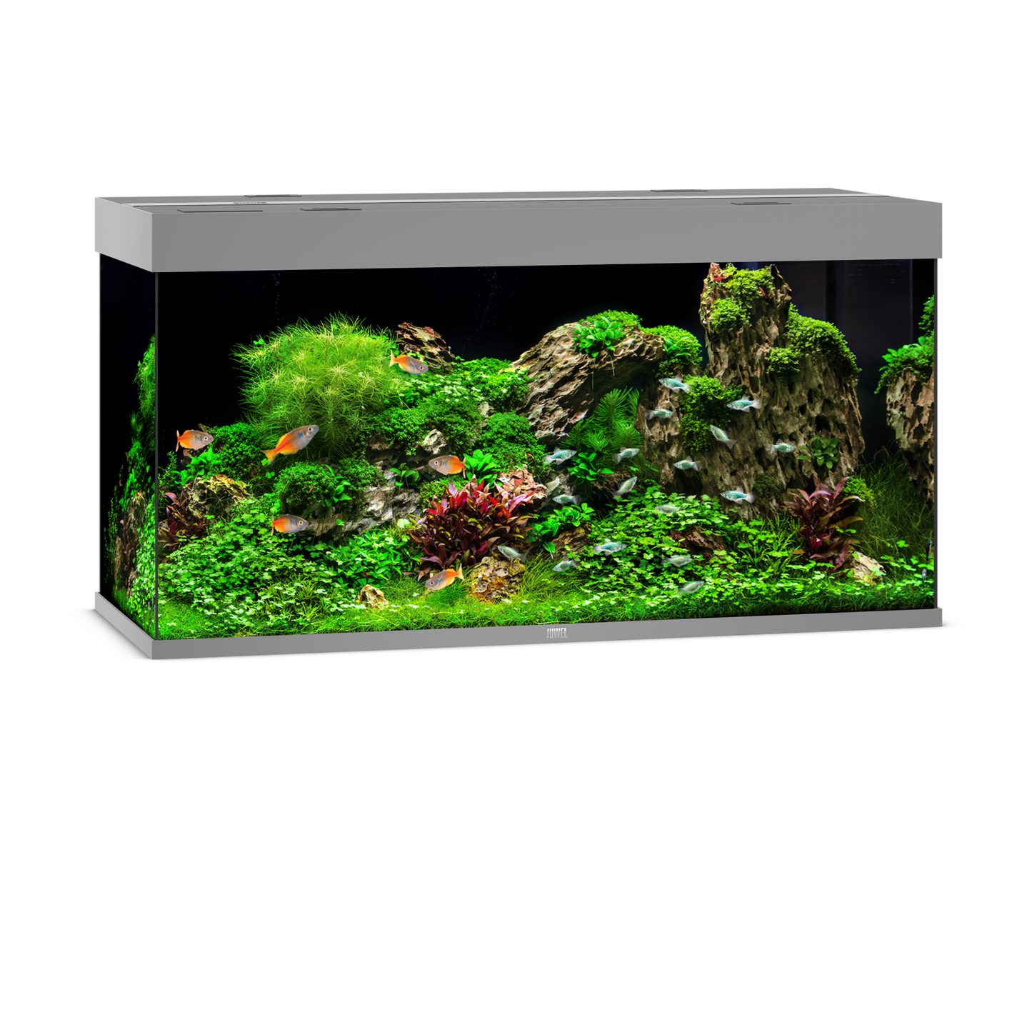 Juwel Rio 350