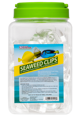 Feeding Frenzy Seaweed Clips (36ct)