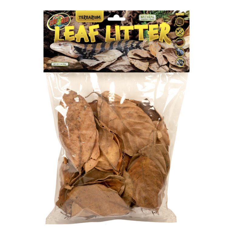 Terrarium Leaf Litter