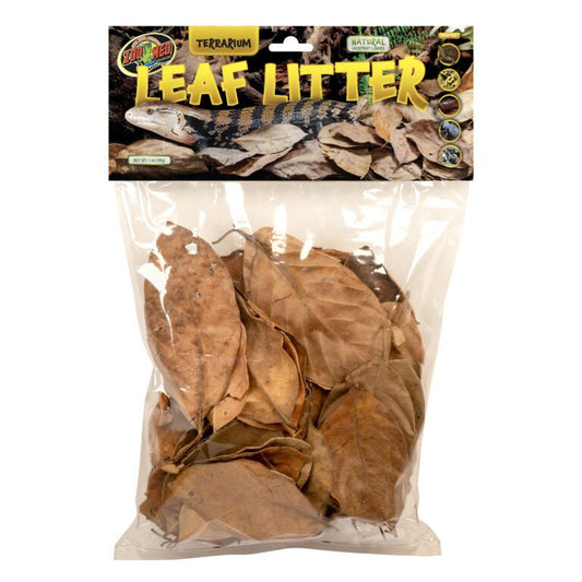Terrarium Leaf Litter
