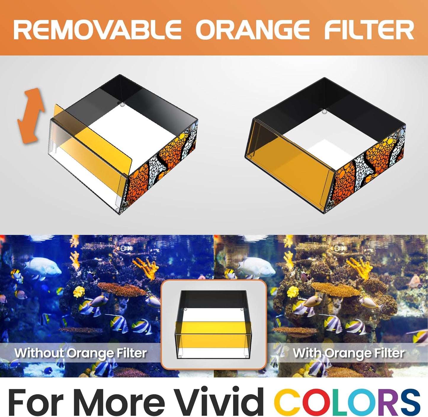 Flipper Top Down Viewer