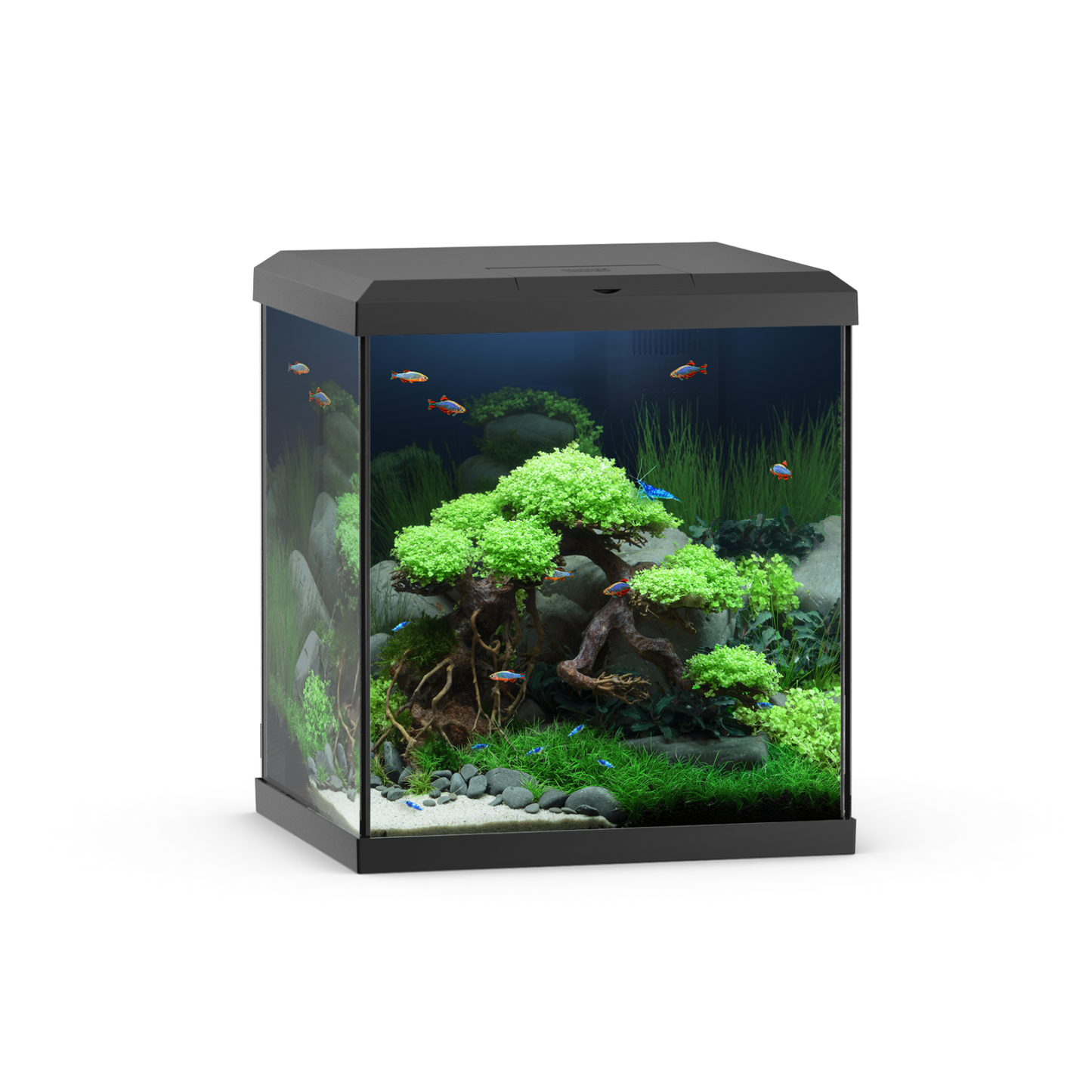 Juwel Vio Cube 54
