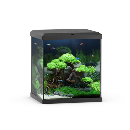 Juwel Vio Cube 54