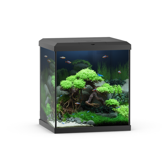 Juwel Vio Cube 54