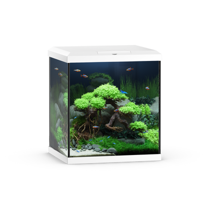 Juwel Vio Cube 54