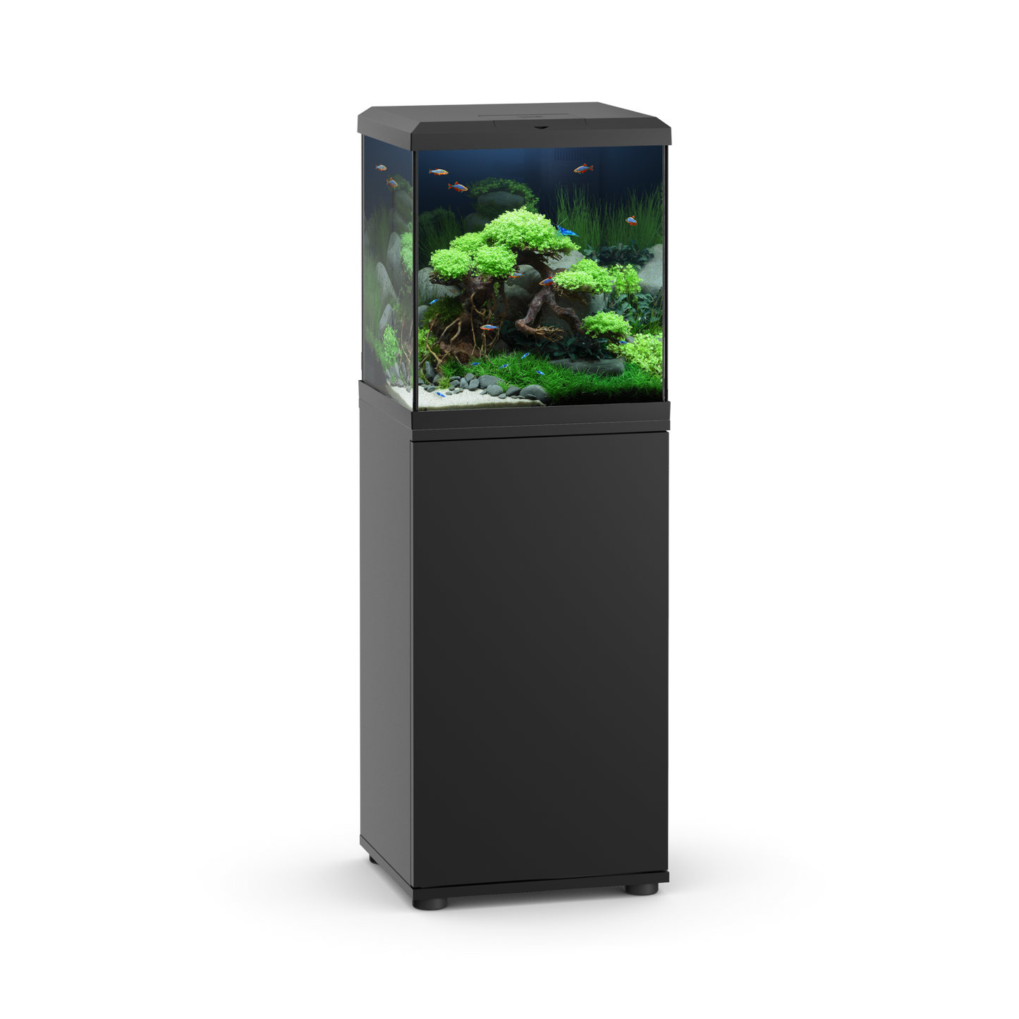 Juwel Vio Cube 54
