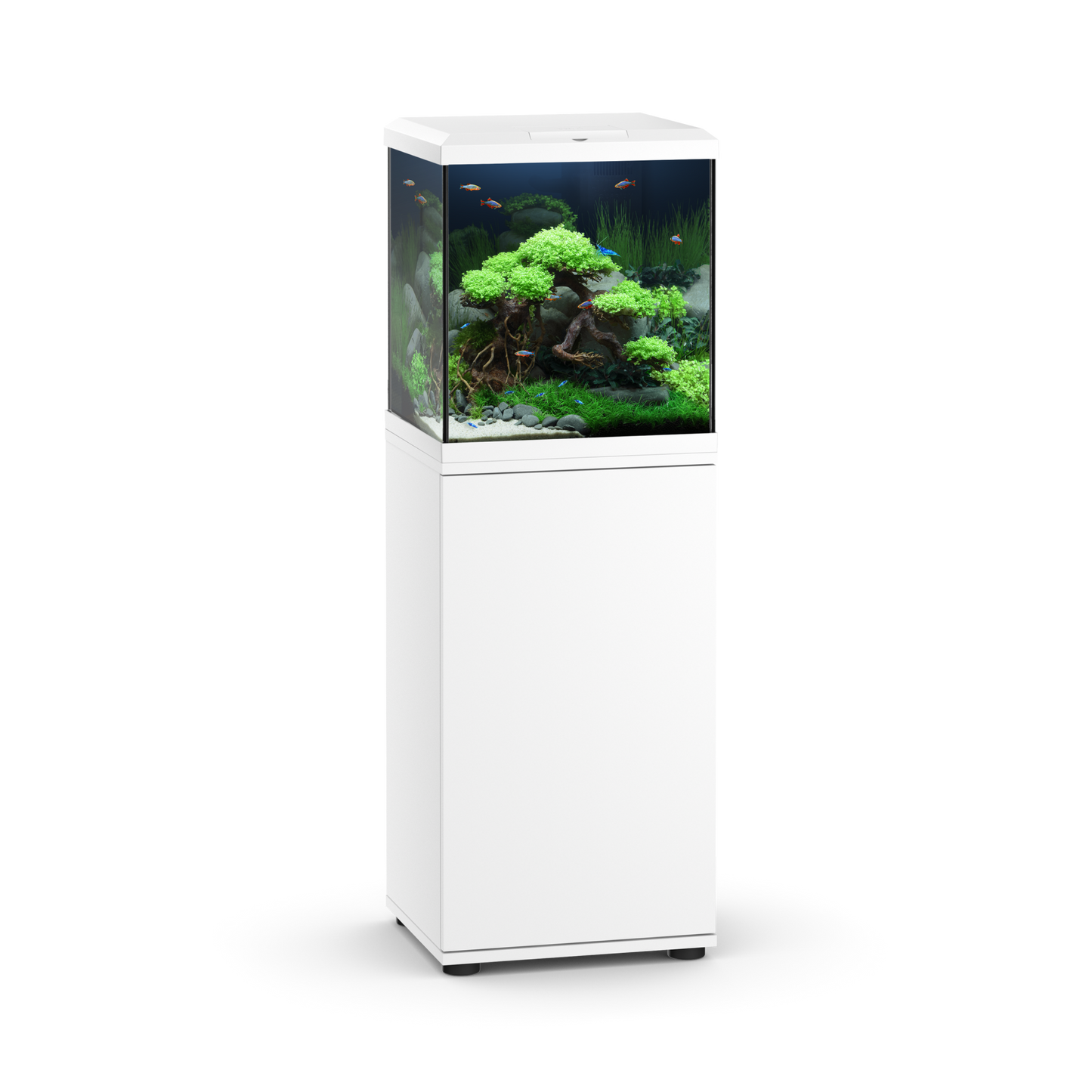 Juwel Vio Cube 54