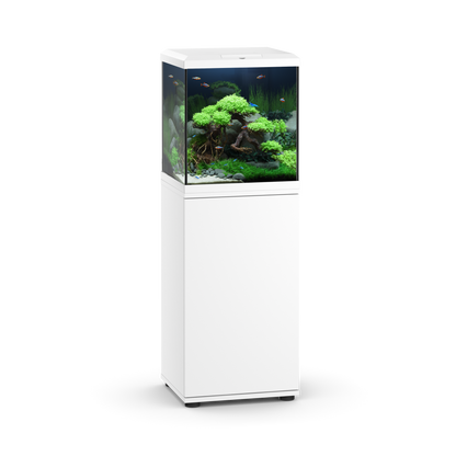 Juwel Vio Cube 54