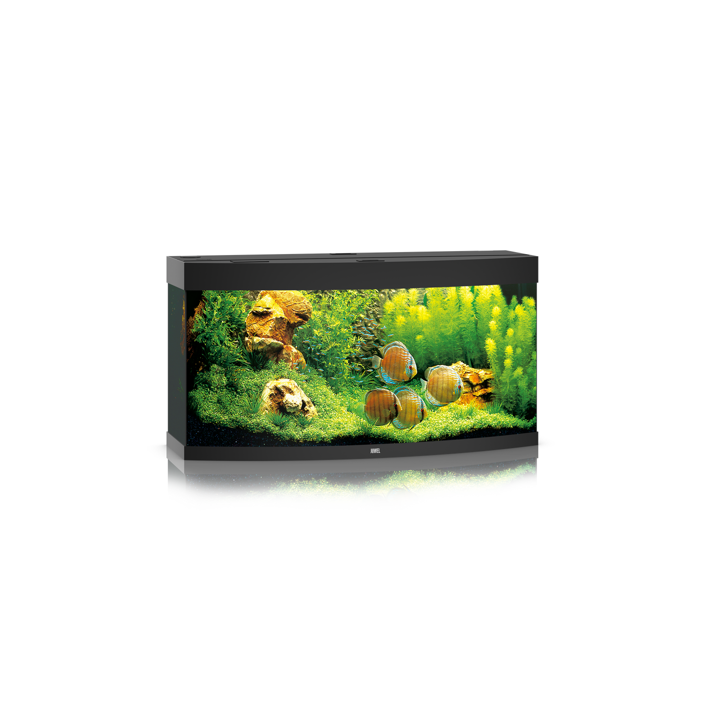 Juwel Vision 260