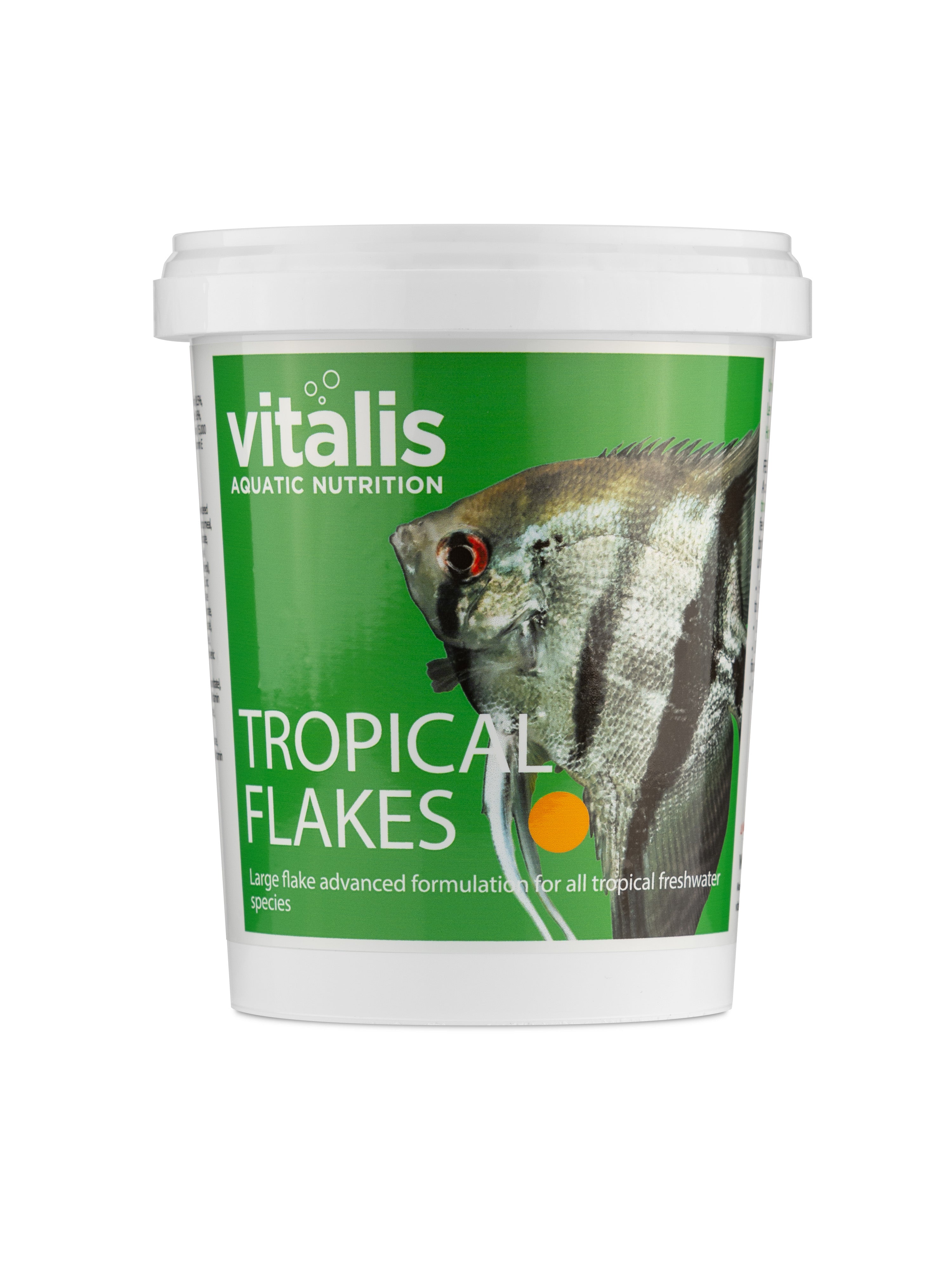 Carolina Aquatic Wholesale Fish Pet Supplies Carolina Aquatics