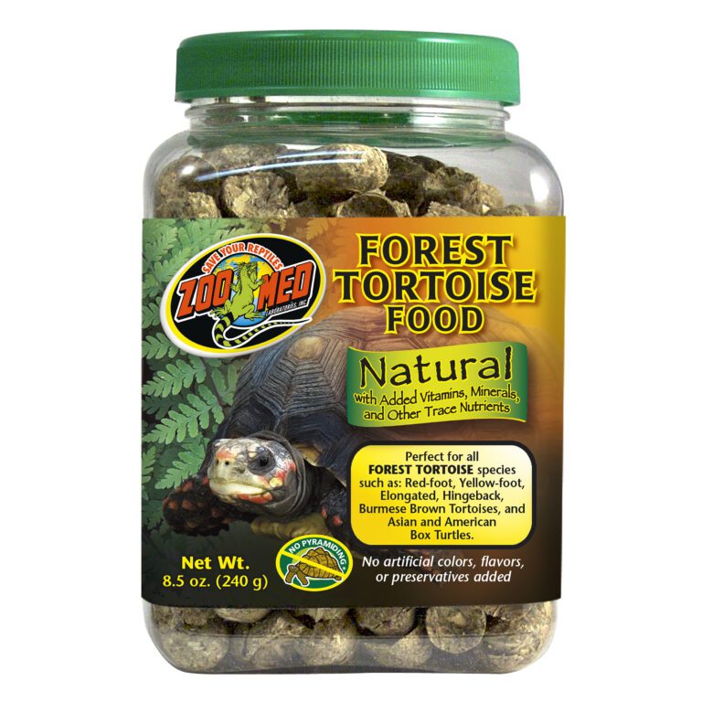 Natural Forest Tortoise Food