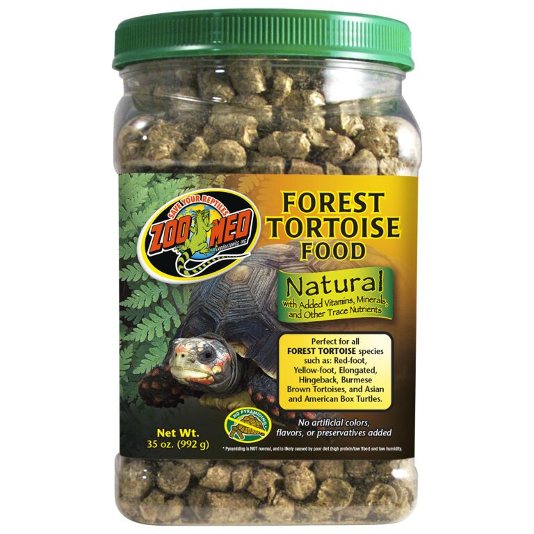 Natural Forest Tortoise Food
