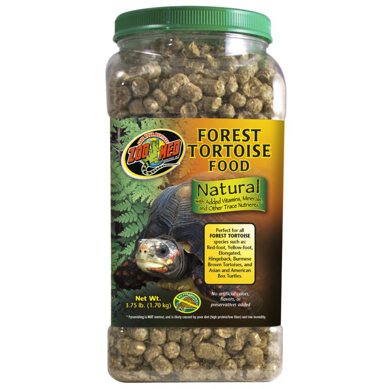 Natural Forest Tortoise Food
