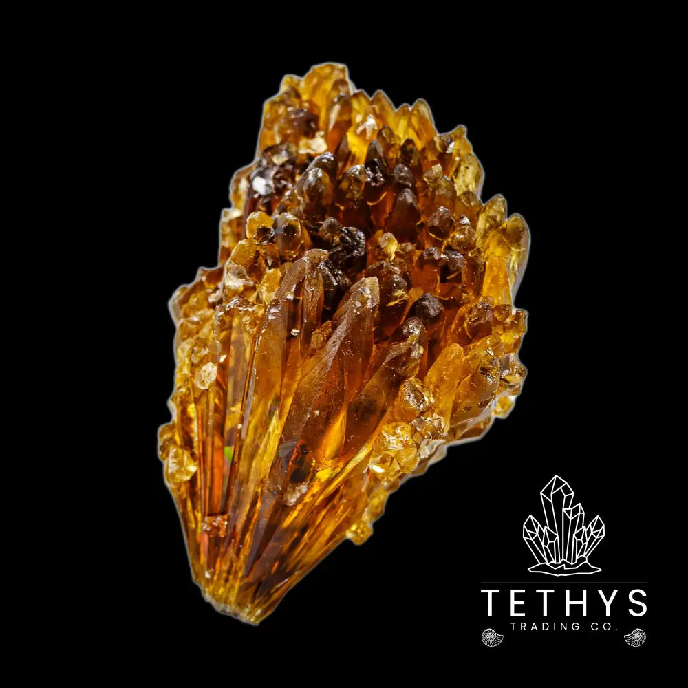 Amber Calcite – Carolina Aquatics