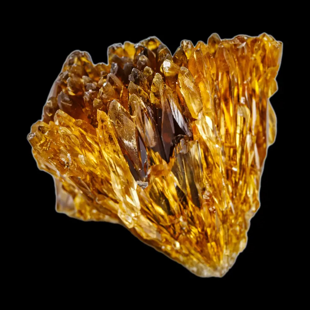 Amber Calcite – Carolina Aquatics