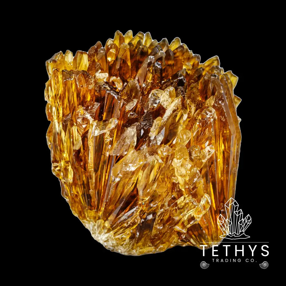 Amber Calcite – Carolina Aquatics