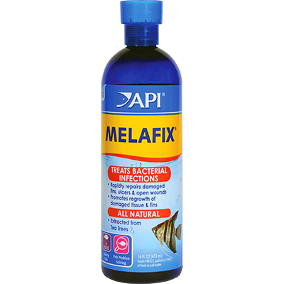API MelaFix