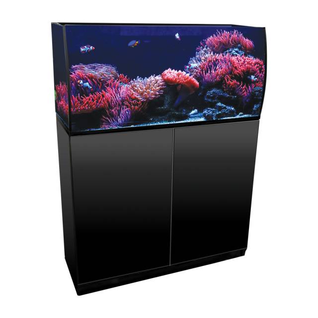 Aquarium Kits