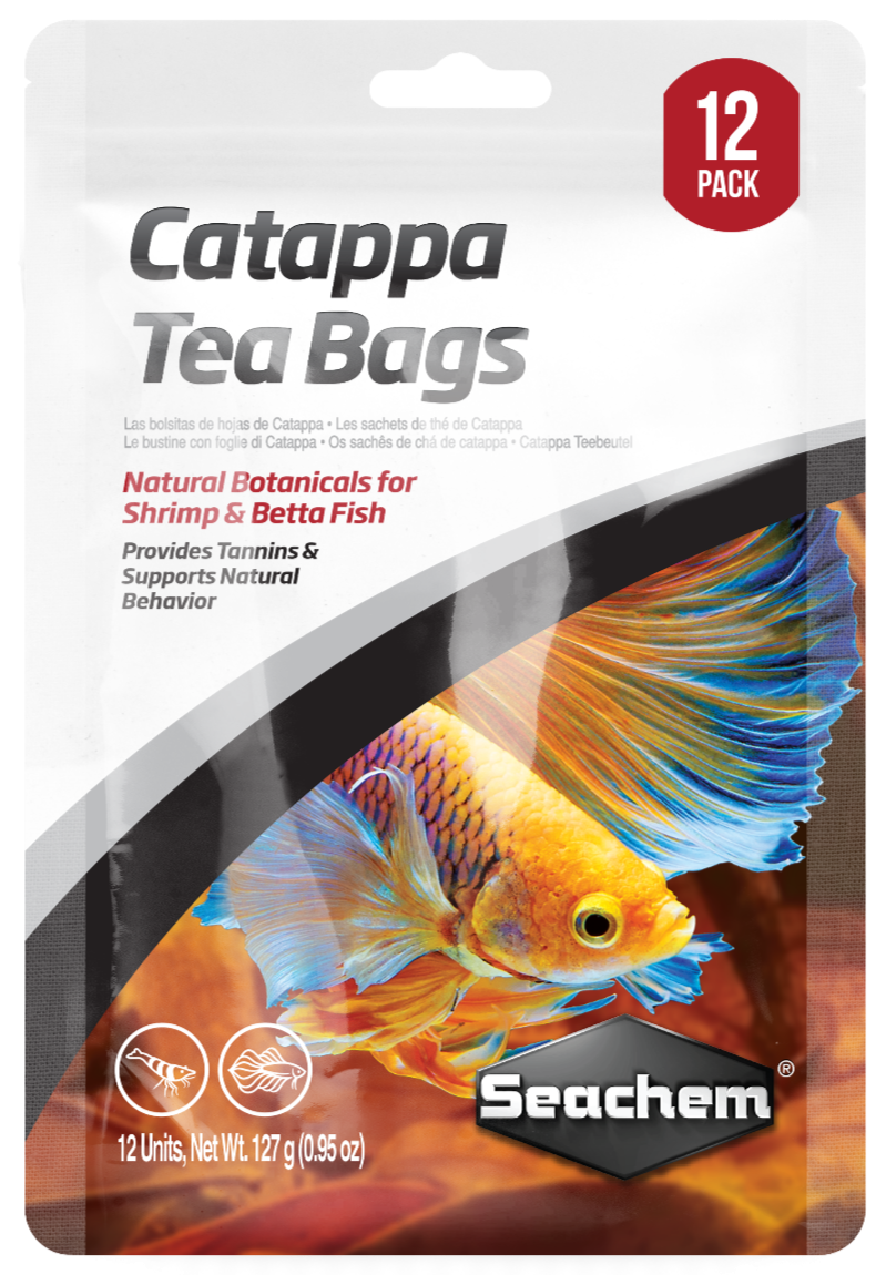 Catappa Tea Bags