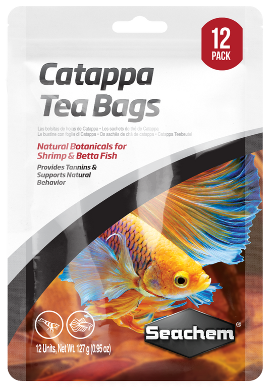 Catappa Tea Bags