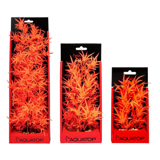 Fluorescent Vibrant Cannabis Red Plant
