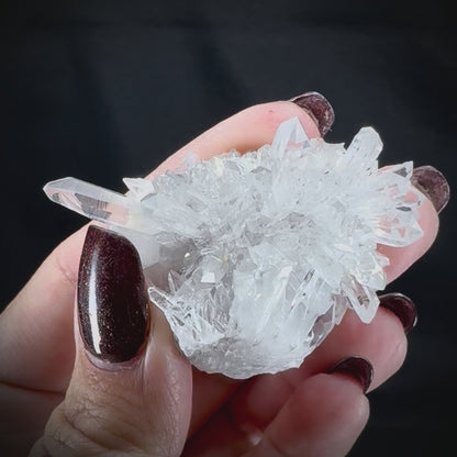 Chrysanthemum Stone