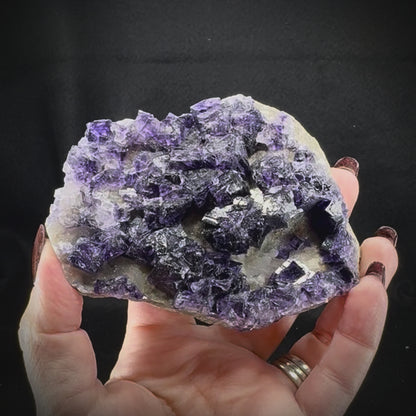 Fluorite Purple (Med/Lg)