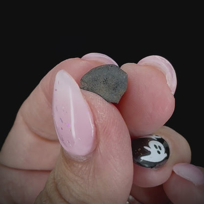 Meteorite - Chelyabinsk - Chondrite
