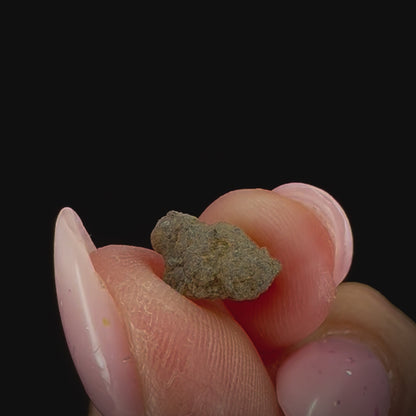 Meteorite - NWA 2975 - Martian