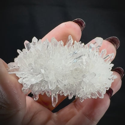Chrysanthemum Stone