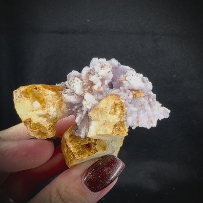 Creedite