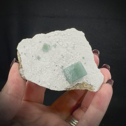 Fluorite Cubes on Matrix