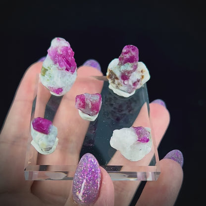 Ruby 2 Lot