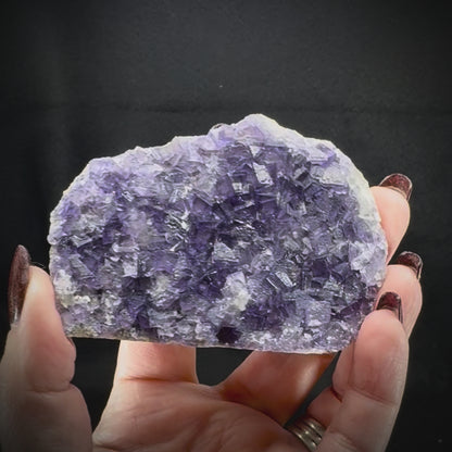 Fluorite Purple (Med/Lg)
