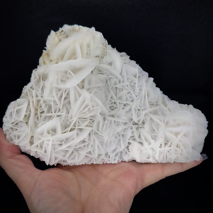 Rose Calcite