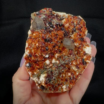 Garnet