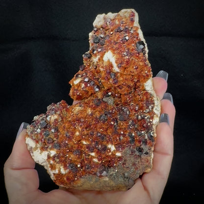 Garnet