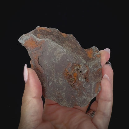 Meteorite - Gebel Kamil - Nickel Iron